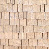 Shingles